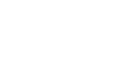 Star Training main logo